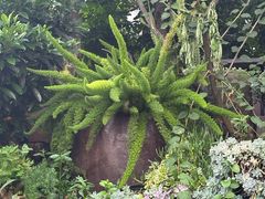 -山菌美食苑(振兴路店)