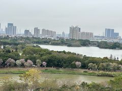 -海珠湖公园