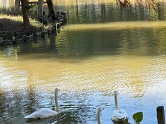 -宁波杭州湾国家湿地公园
