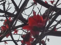 -晓港公园