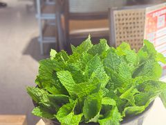 -古膳记猪肚鸡.生蚝鸡(拱北店)