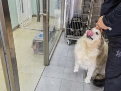 -宠福鑫康馨动物医院·骨科·眼科