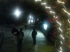 -信德中旅船务管理有限公司