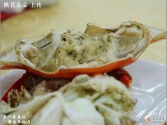 88/斤的公蟹打开-海岛渔村大酒店(云霄路店)