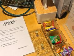 -深圳阿普萨拉斯酒店