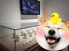 -苏州丝绸博物馆