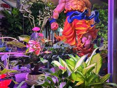 -朝来春花卉市场