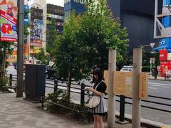 -秋叶原电器街