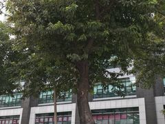 -Trend1881视光·蔡司视觉(领展广场店)