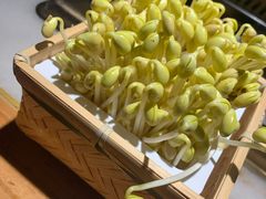 井水黄豆芽-巴渝瓦肆重庆鲜火锅(宝龙环湖店)