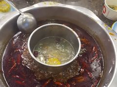 -金鼎雪山牦牛杂火锅(理县总店)