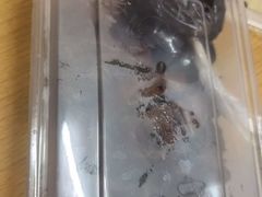 -下村新强记烧鹅店