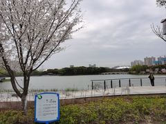 -昆山城市生态森林公园