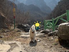-孤山寨风景区
