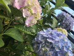 -哈根达斯(济南万象城店)