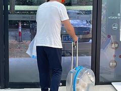 -艾贝尔宠物诊疗