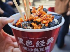 -黑色经典臭豆腐·湖南特产(潇湘文化店)