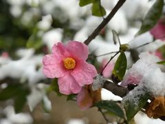 -苏州河梦清园环保主题公园