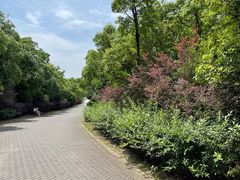 -上海海湾国家森林公园