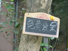 -东部华侨城