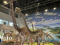 -自贡恐龙博物馆