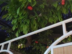 -蕃茄述·好汤自然来(江汉路店)