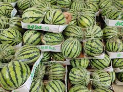 -西郊国际农产品交易中心