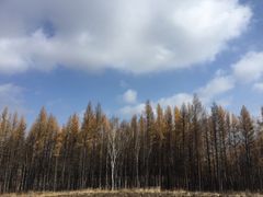 -塞罕坝国家级自然保护区