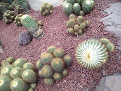 -南通洲际绿博园