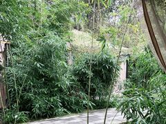 -草根堂农场