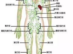 -裕和堂中医推拿艾灸(太古汇臻品店)
