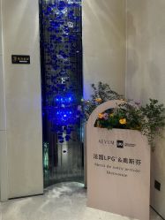 -奥斯芬欧系贵族SPA