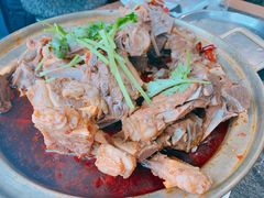 -友乐居羊蝎子(西直门店)
