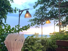 -卷心菜和避孕套餐厅(Pattaya)