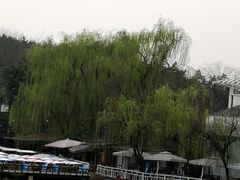 -三圣花乡旅游区