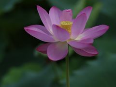 -裕华世纪公园