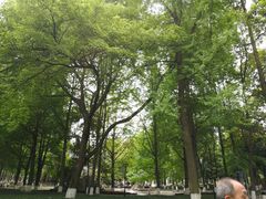 -温江公园