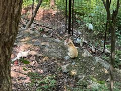 -崂山九水游览区
