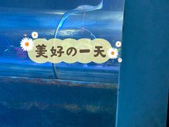 -太平洋海底世界