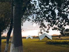 -汉长安城未央宫国家考古遗址公园