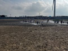 -启东黄金海滩景区