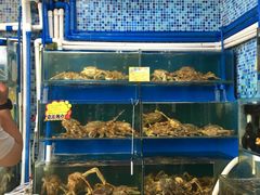 水产区-蚝专家(北滘店)