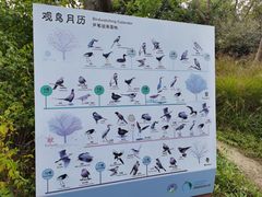 -同里国家湿地公园