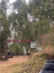 -成都飞越丛林探险乐园(锦绣城园区)