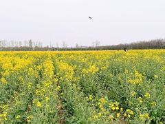 -汉长安城未央宫国家考古遗址公园