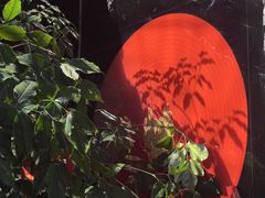 -院8里·小聚园(九眼桥店)