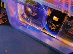 -Darling Queen·Mini·Live·House