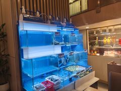 -永記粤菜·五指毛桃花雕鸡煲(九亭店)