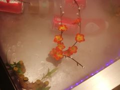 -池田寿司·4H鲜作(西直门凯德华联店)