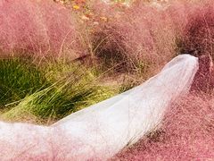 -上海滨江森林公园